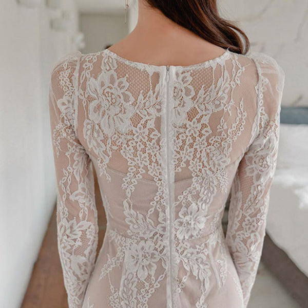 Lace perspective bodycon dresses