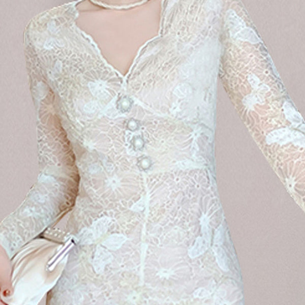 Lace v-neck long sleeve sheath dresses