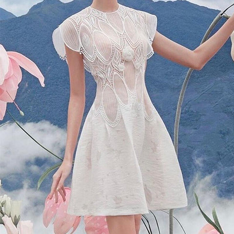 Stylish flower embroidery see through skater dresses