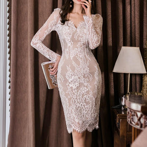 V-neck elegant lace bodycon dresses